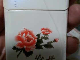 牡丹(真国色白)