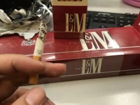 LM(硬红美国免税)