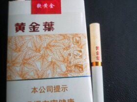黄金叶(软黄金)