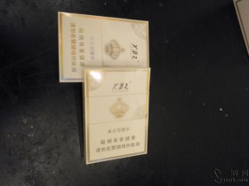 芙蓉王(王之荣耀)