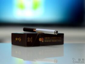 黄山松(回味迎客松)