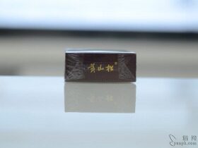 黄山松(回味迎客松)