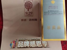 芙蓉王(硬新版)