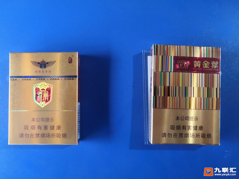 黄金叶(黄金中支)相册 94078_53703