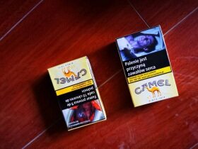 骆驼(硬黄波兰版)