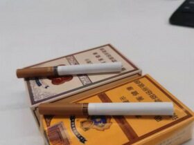 云烟(软大重九)