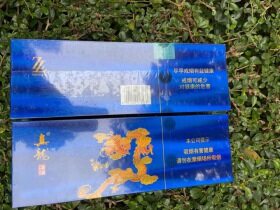 真龙(海纳百川)