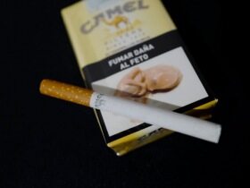 骆驼(软黄阿根廷完税版)