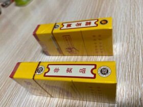 黄金叶大金圆10支装