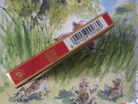 人民大会堂(中支)