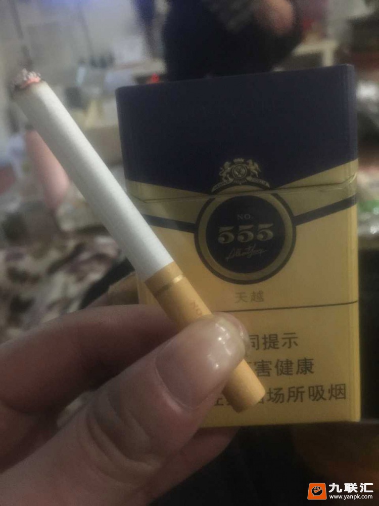 555天越中免版相册9564083416