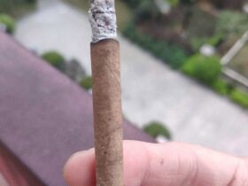 长城(毛氏雪茄13号)