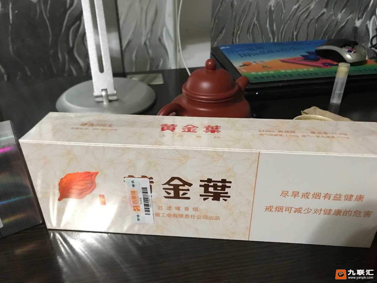 黄金叶(小天叶)相册 305_76318