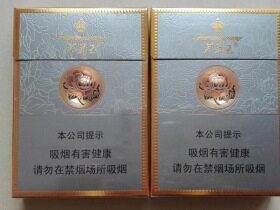 芙蓉王(硬中支)