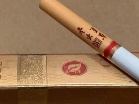 冬虫夏草(红中支)