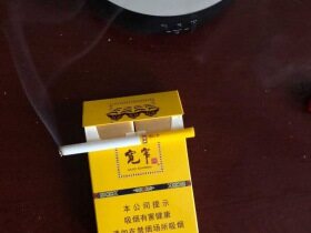 娇子(宽窄吉祥中支)