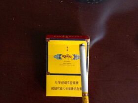 娇子(宽窄吉祥中支)