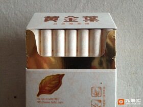 黄金叶(小天叶)