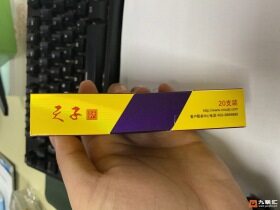 娇子(传奇天子)