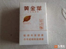 黄金叶(小天叶)