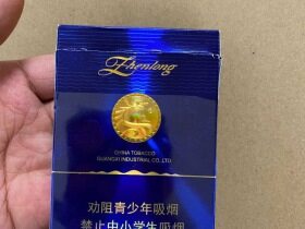 真龙(海韵中支)