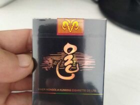 大青山(狼图腾)