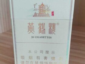 黄鹤楼(峡谷情中支)