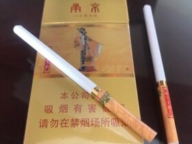 南京(金陵十二钗烤烟)