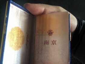 南京(细支九五)