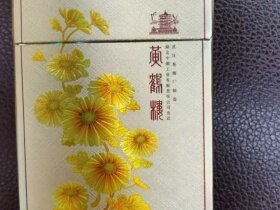 黄鹤楼(滑盖乐道)