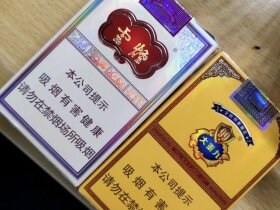 云烟(软印象烟庄)