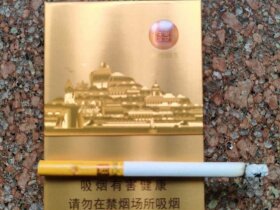 七匹狼(金砖中支)