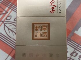 天子(厚德载物)