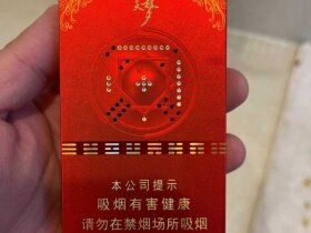 兰州(飞天梦细支)