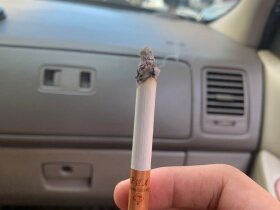 芙蓉王(红宝石)