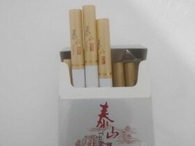 泰山(望岳出口版)