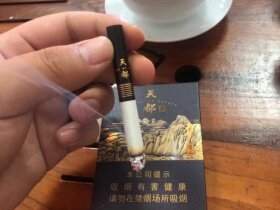 黄山(天都高山流水)