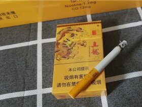 真龙(锦绣东方)