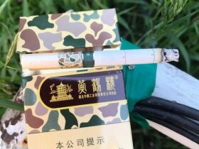 黄鹤楼(为了谁·大彩)