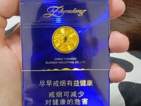 真龙(海韵中支)