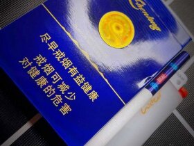 真龙(海韵中支)