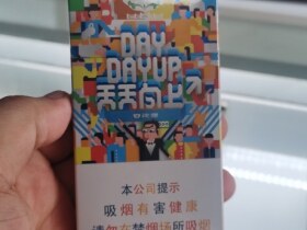 白沙(天天向上)