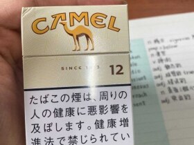 骆驼(硬12mg日税版)