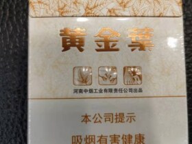 黄金叶(天叶中支)