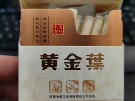 黄金叶(天叶中支)