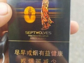 七匹狼(乘风启航)