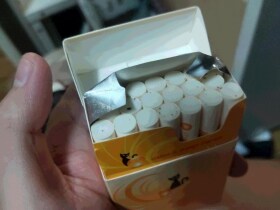 铁塔猫(橙子奶油)