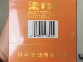 黄鹤楼(雪之梦9号)