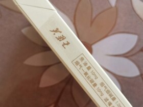 芙蓉王(王之荣耀)