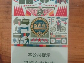 真龙(致青春新版)